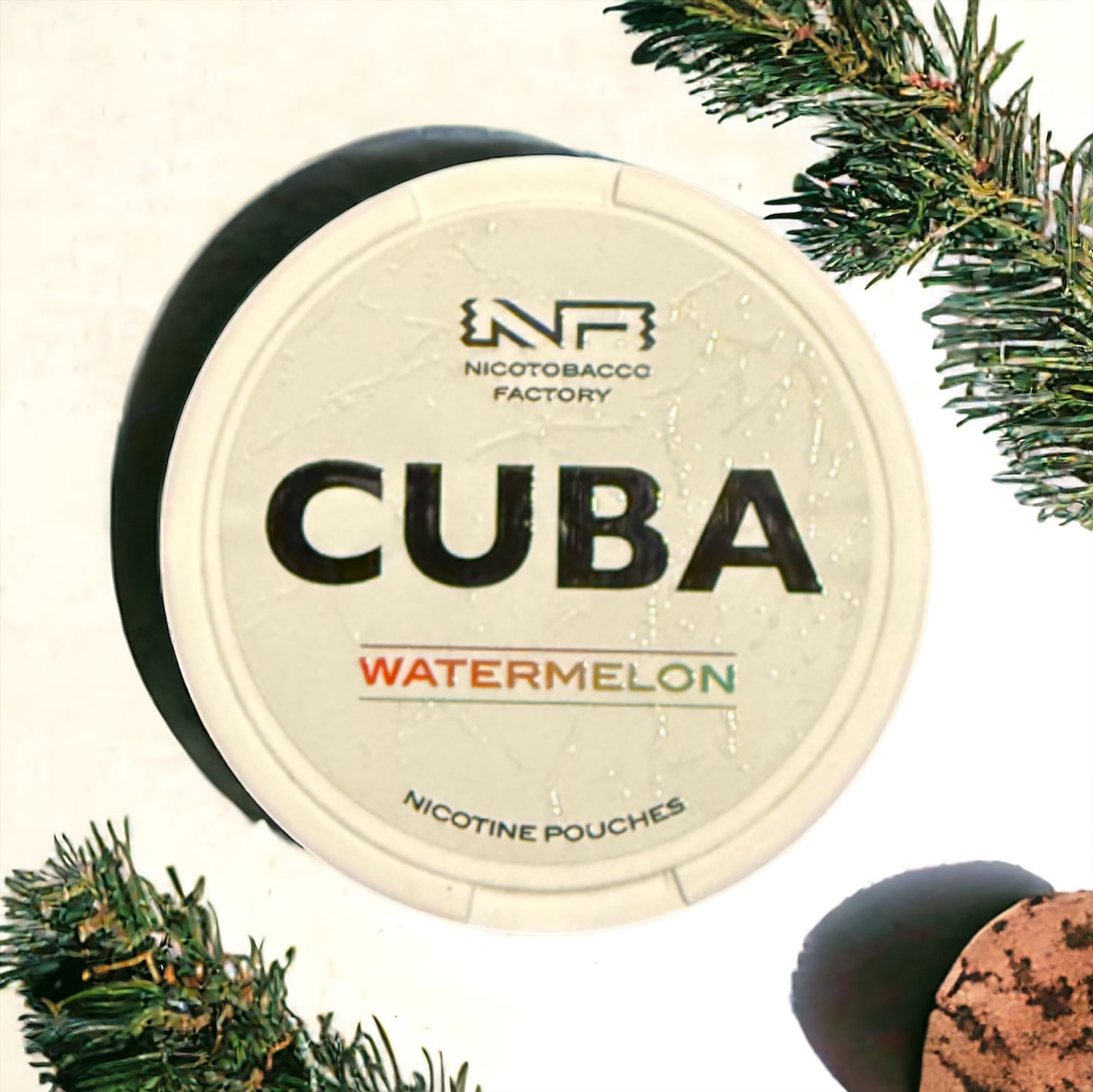 CUBA Watermelon 10